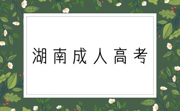  2024年湖南成考高起點(diǎn)英語(yǔ)試題（2）